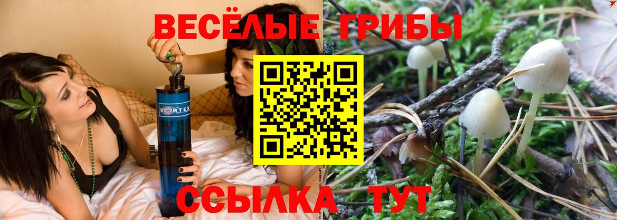 Галлюциногенные грибы Cubensis  Галлюциногенные грибы Psilocybe  Вход с VPN  Раменское 